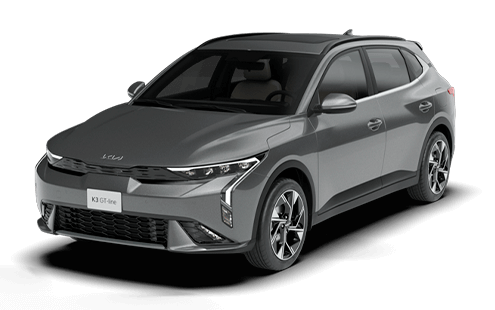 Steel Grey