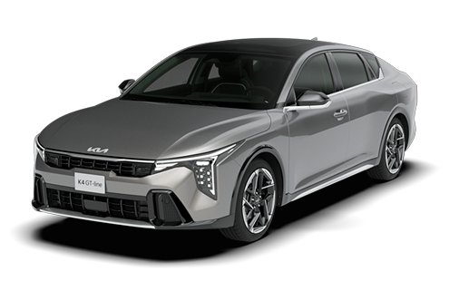 Steel Gray