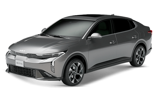Steel Gray