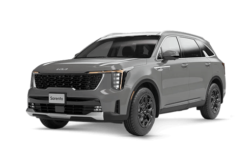 wolf gray