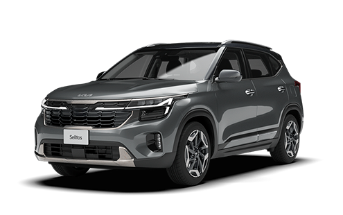 Gravity gray Black roof