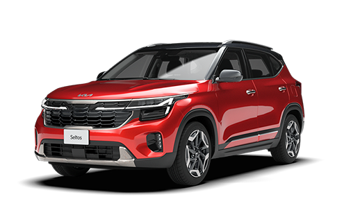 Vivid red Black roof